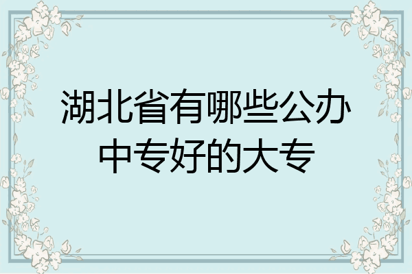 湖北省有哪些公办中专好的大专