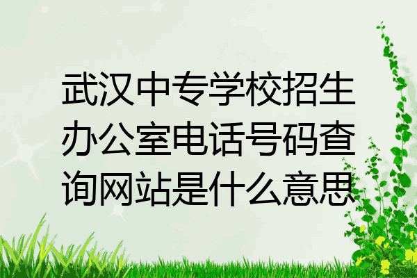 武汉中专学校招生办公室电话号码查询网站是什么意思