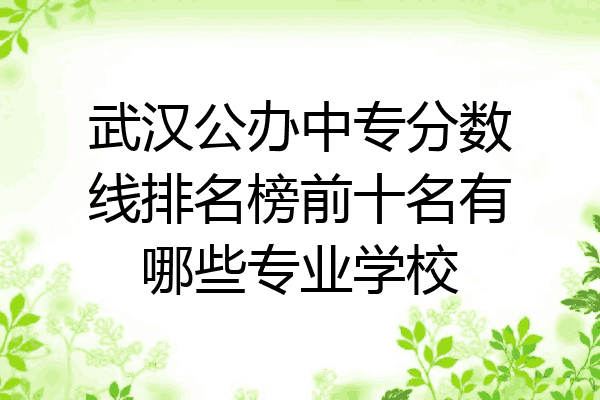 武汉公办中专分数线排名榜前十名有哪些专业学校