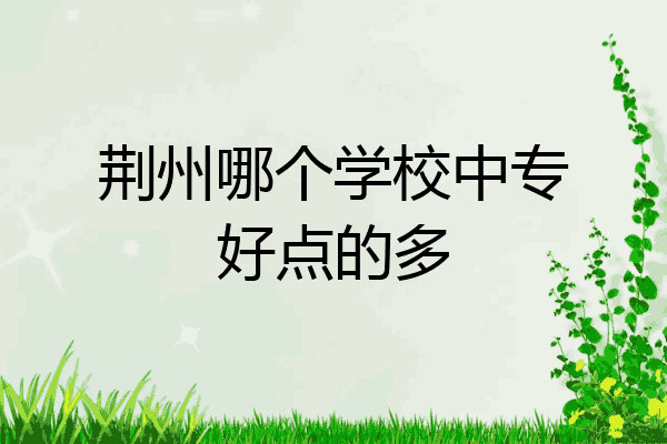 荆州哪个学校中专好点的多