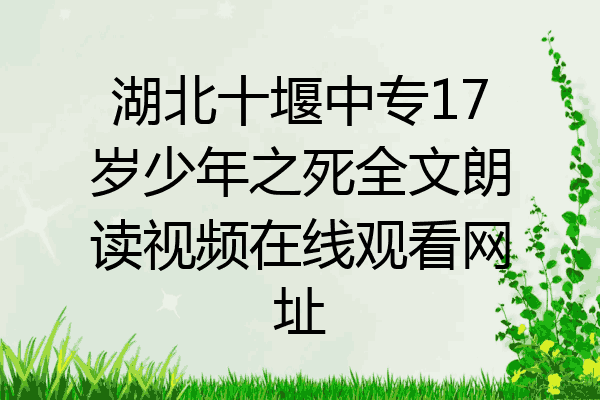湖北十堰中专17岁少年之死全文朗读视频在线观看网址