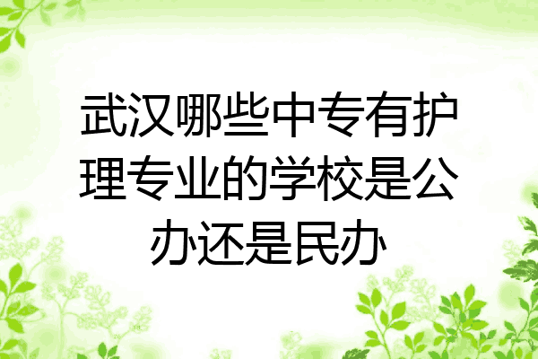 武汉哪些中专有护理专业的学校是公办还是民办