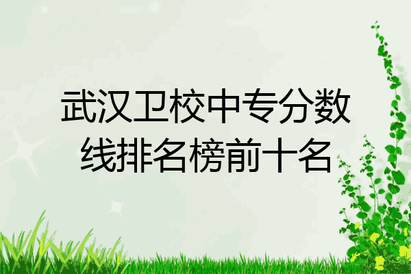 武汉卫校中专分数线排名榜前十名