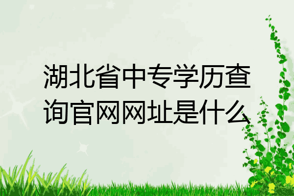 湖北省中专学历查询官网网址是什么