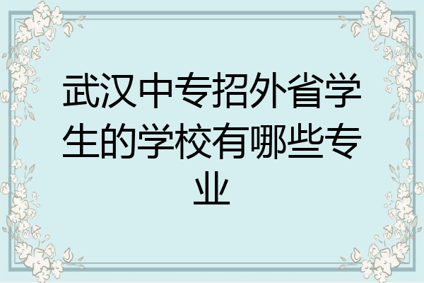 武汉中专招外省学生的学校有哪些专业