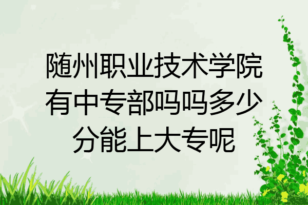随州职业技术学院有中专部吗吗多少分能上大专呢
