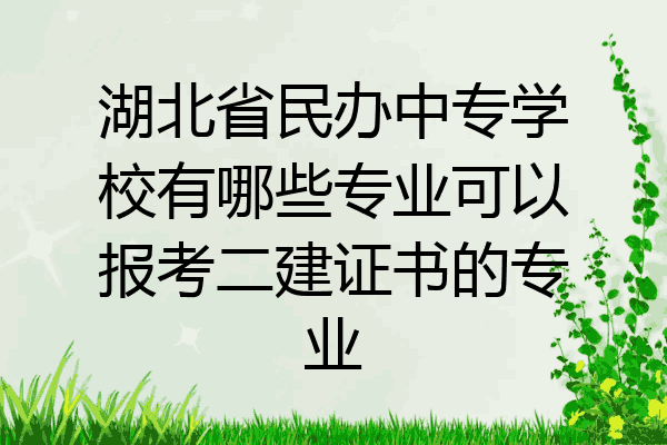 湖北省民办中专学校有哪些专业可以报考二建证书的专业