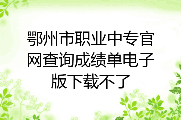 鄂州市职业中专官网查询成绩单电子版下载不了