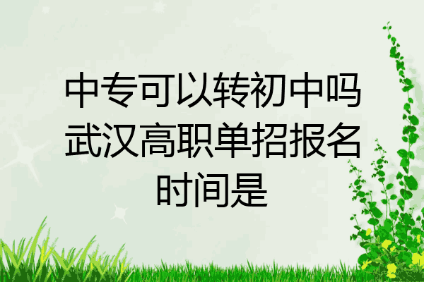 中专可以转初中吗武汉高职单招报名时间是