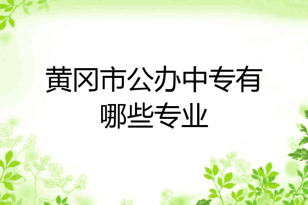 黄冈市公办中专有哪些专业