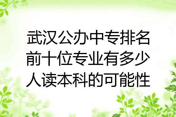 武汉公办中专排名前十位专业有多少人读本科的可能性