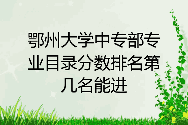 鄂州大学中专部专业目录分数排名第几名能进