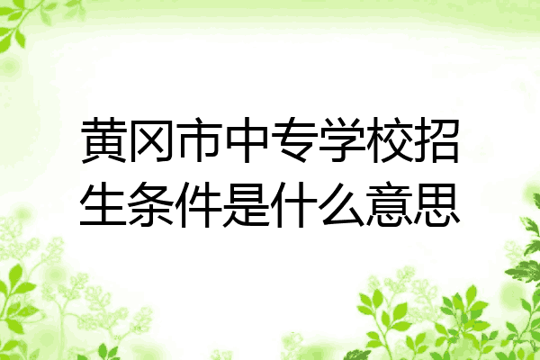 黄冈市中专学校招生条件是什么意思