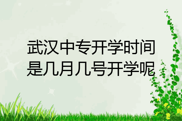 武汉中专开学时间是几月几号开学呢