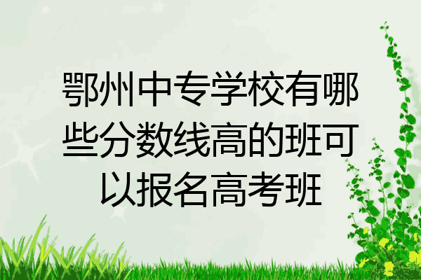 鄂州中专学校有哪些分数线高的班可以报名高考班