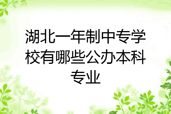 湖北一年制中专学校有哪些公办本科专业