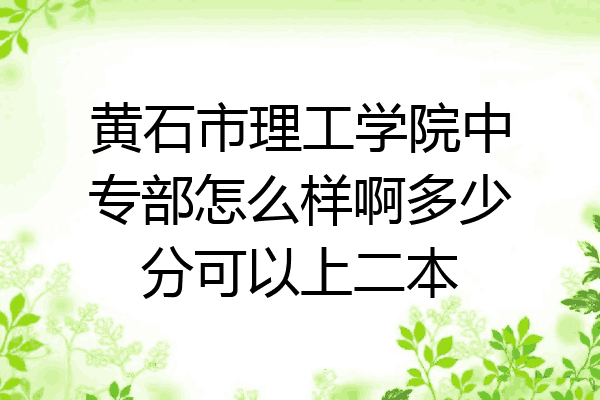 黄石市理工学院中专部怎么样啊多少分可以上二本