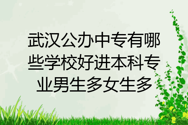 武汉公办中专有哪些学校好进本科专业男生多女生多