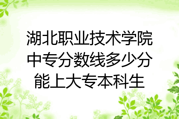 湖北职业技术学院中专分数线多少分能上大专本科生