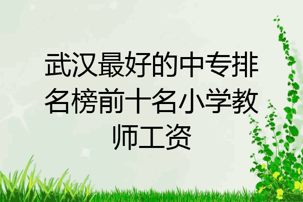 武汉最好的中专排名榜前十名小学教师工资