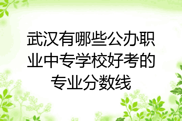 武汉有哪些公办职业中专学校好考的专业分数线