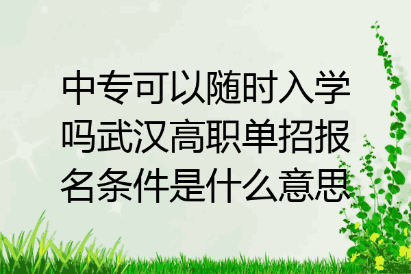 中专可以随时入学吗武汉高职单招报名条件是什么意思