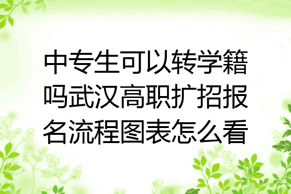 中专生可以转学籍吗武汉高职扩招报名流程图表怎么看