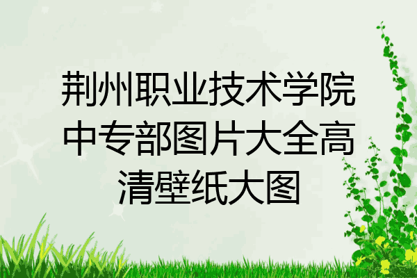荆州职业技术学院中专部图片大全高清壁纸大图