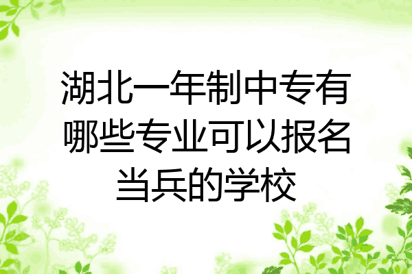 湖北一年制中专有哪些专业可以报名当兵的学校