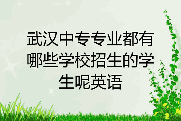 武汉中专专业都有哪些学校招生的学生呢英语