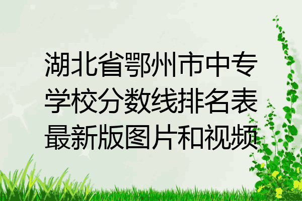 湖北省鄂州市中专学校分数线排名表最新版图片和视频