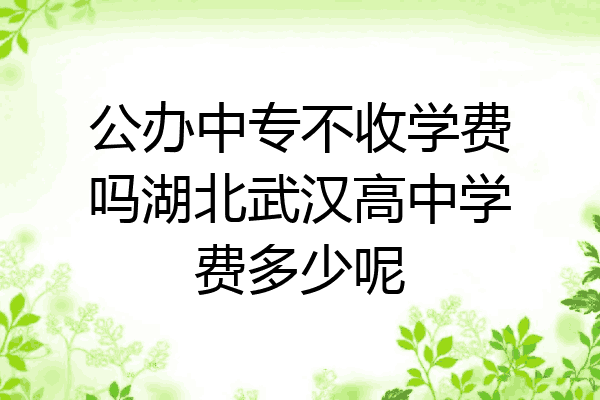 公办中专不收学费吗湖北武汉高中学费多少呢