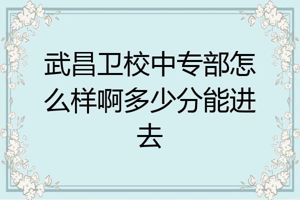 武昌卫校中专部怎么样啊多少分能进去