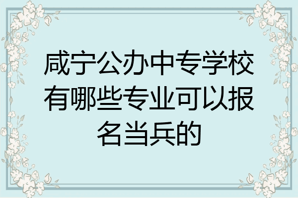 咸宁公办中专学校有哪些专业可以报名当兵的