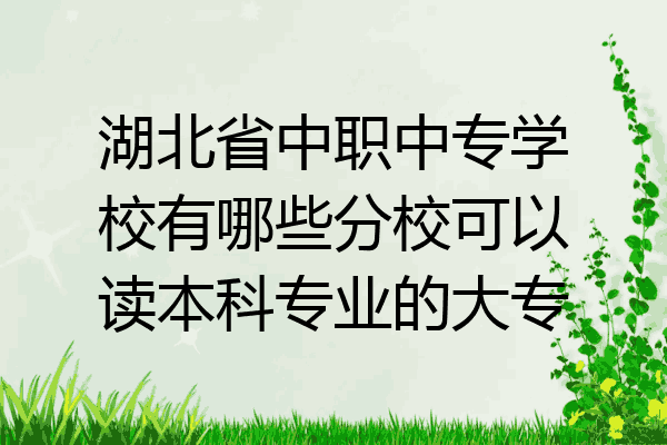 湖北省中职中专学校有哪些分校可以读本科专业的大专