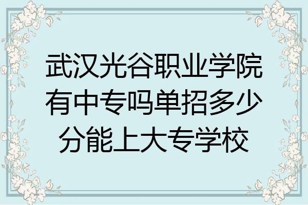 武汉光谷职业学院有中专吗单招多少分能上大专学校