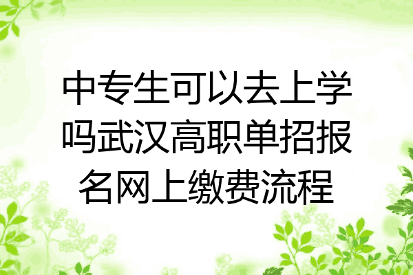 中专生可以去上学吗武汉高职单招报名网上缴费流程