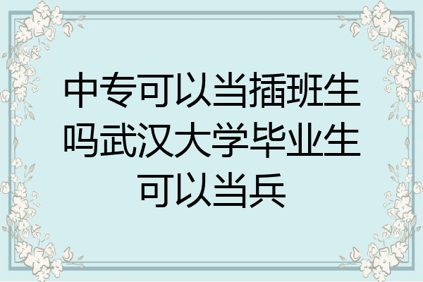 中专可以当插班生吗武汉大学毕业生可以当兵