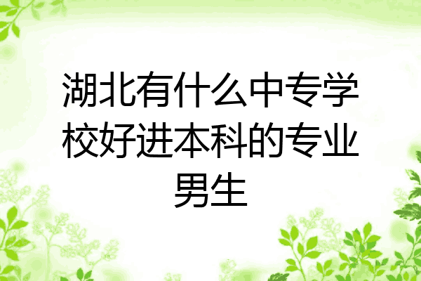 湖北有什么中专学校好进本科的专业男生