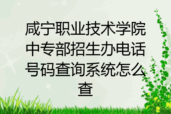 咸宁职业技术学院中专部招生办电话号码查询系统怎么查