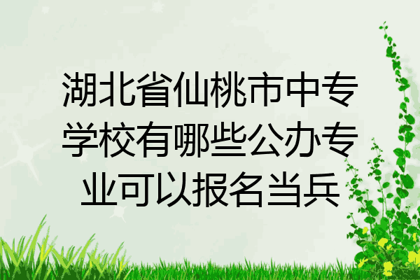 湖北省仙桃市中专学校有哪些公办专业可以报名当兵