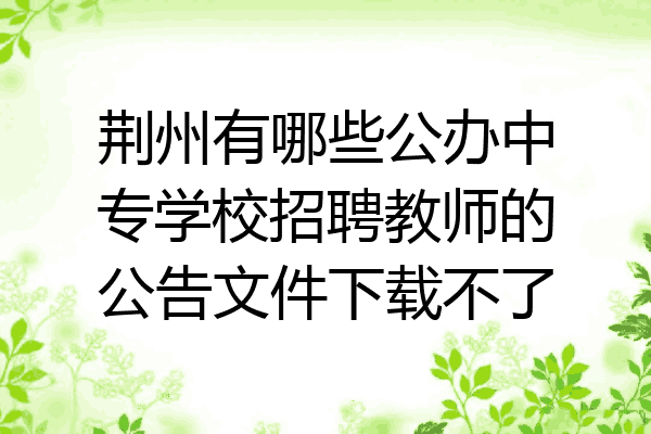 荆州有哪些公办中专学校招聘教师的公告文件下载不了