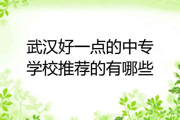 武汉好一点的中专学校推荐的有哪些