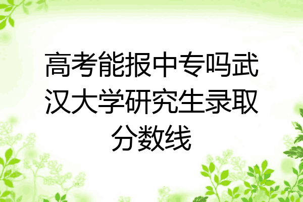 高考能报中专吗武汉大学研究生录取分数线