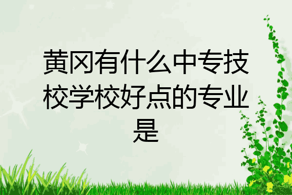 黄冈有什么中专技校学校好点的专业是
