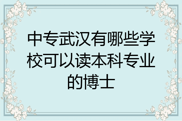 中专武汉有哪些学校可以读本科专业的博士