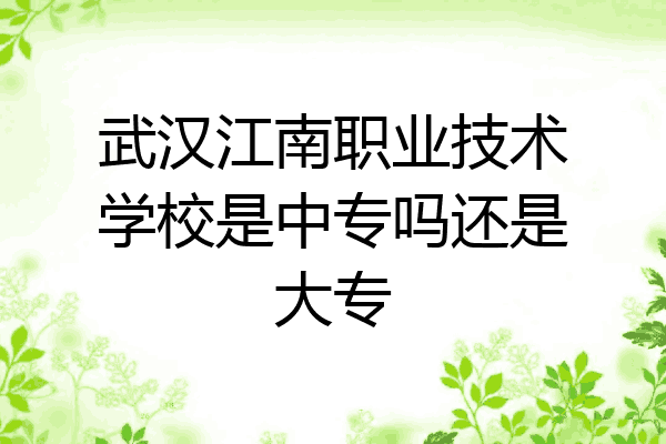 武汉江南职业技术学校是中专吗还是大专