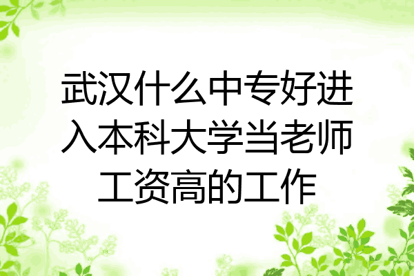武汉什么中专好进入本科大学当老师工资高的工作