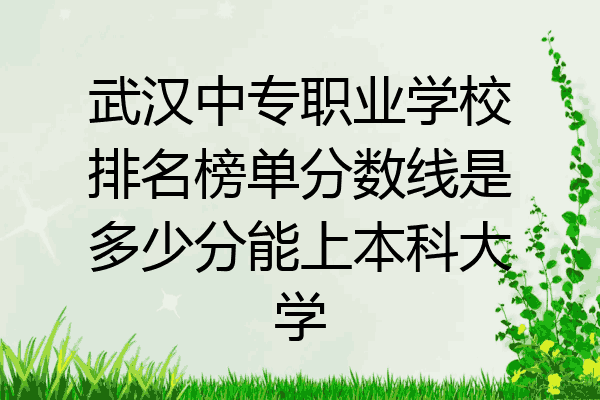 武汉中专职业学校排名榜单分数线是多少分能上本科大学