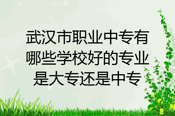 武汉市职业中专有哪些学校好的专业是大专还是中专